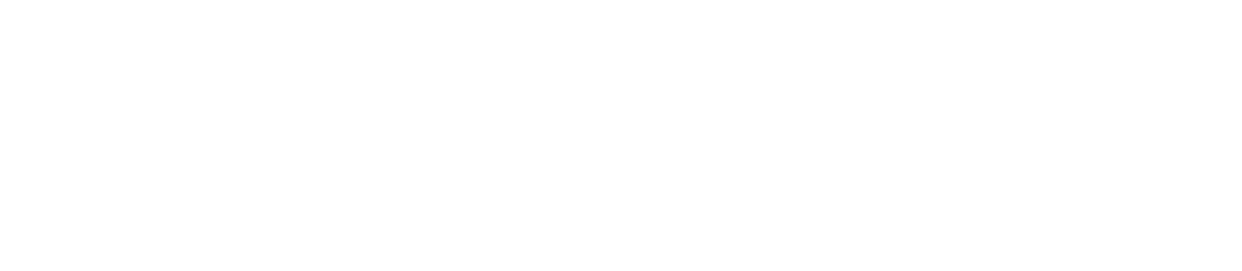 ComplyGini Logo